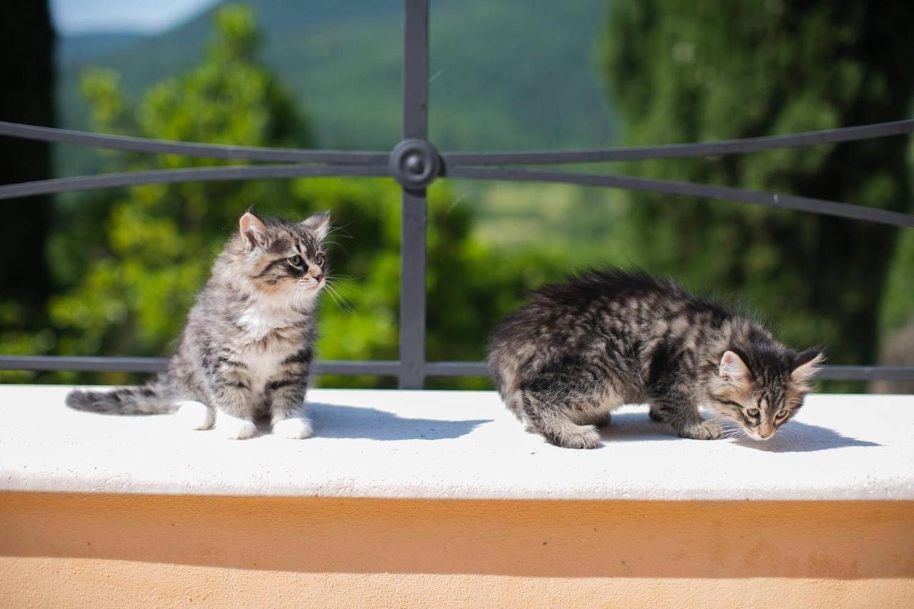 Borgo Incantato Spoleto Pompagnano Экстерьер фото